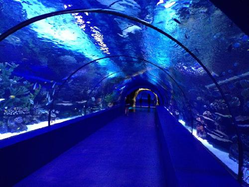 Antalya Aquarium touren