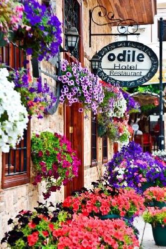 Odile Konak Hoteltransfer