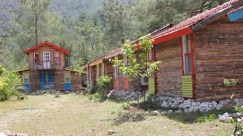 Jungle Bells Hostel-Transfer