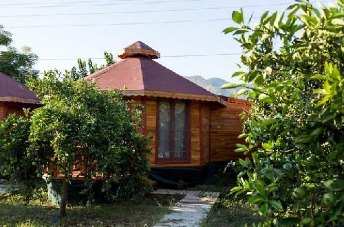 Пенсионный перевод Шахина