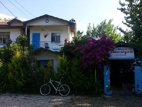 Мила Пенсионный трансфер