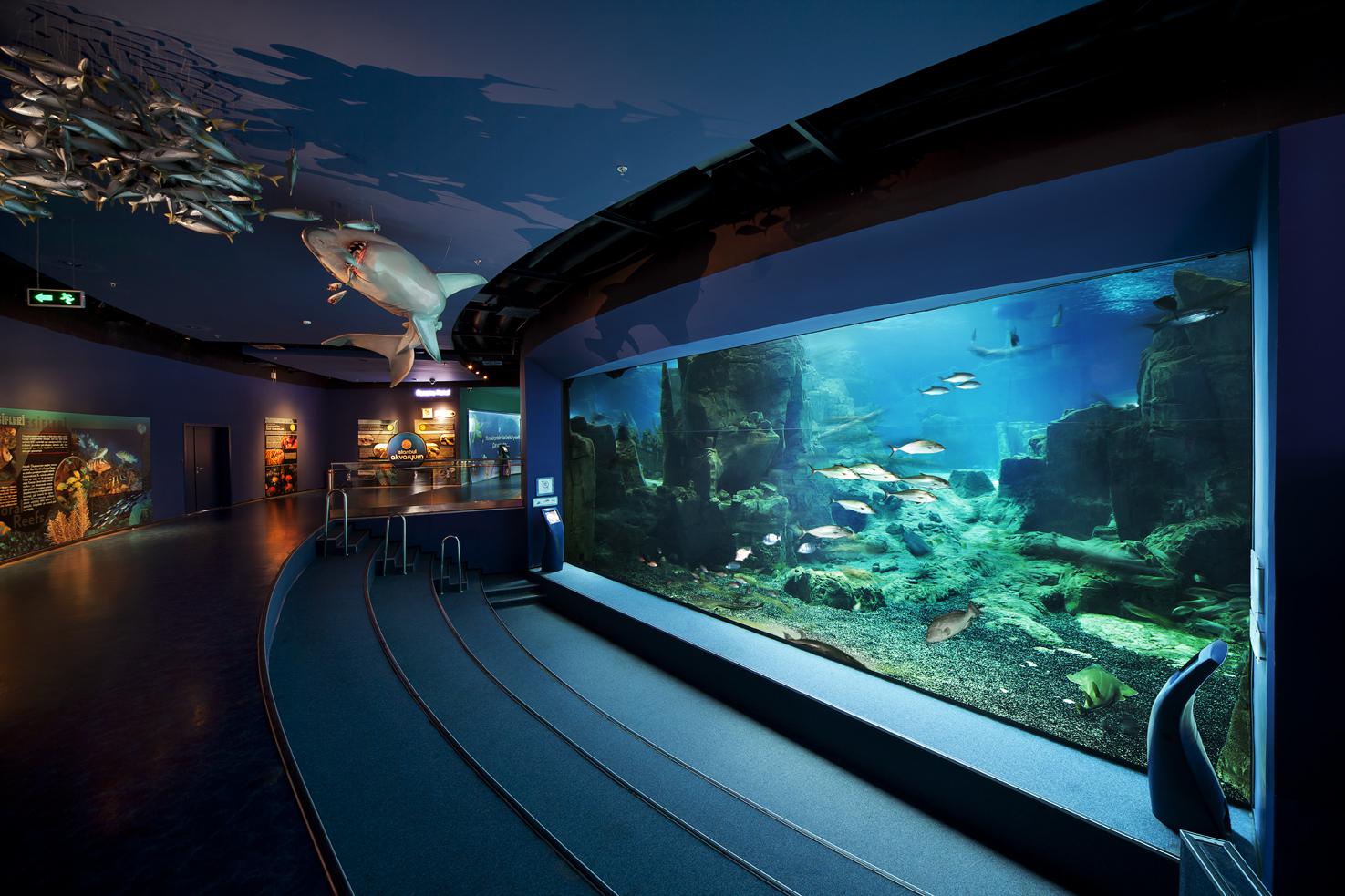  İstanbul Akvaryum Tur