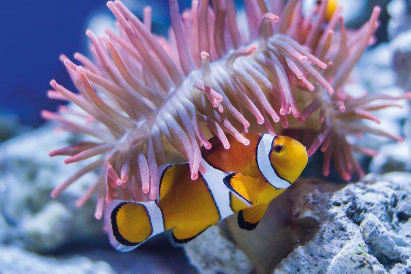  İstanbul Akvaryum Tur