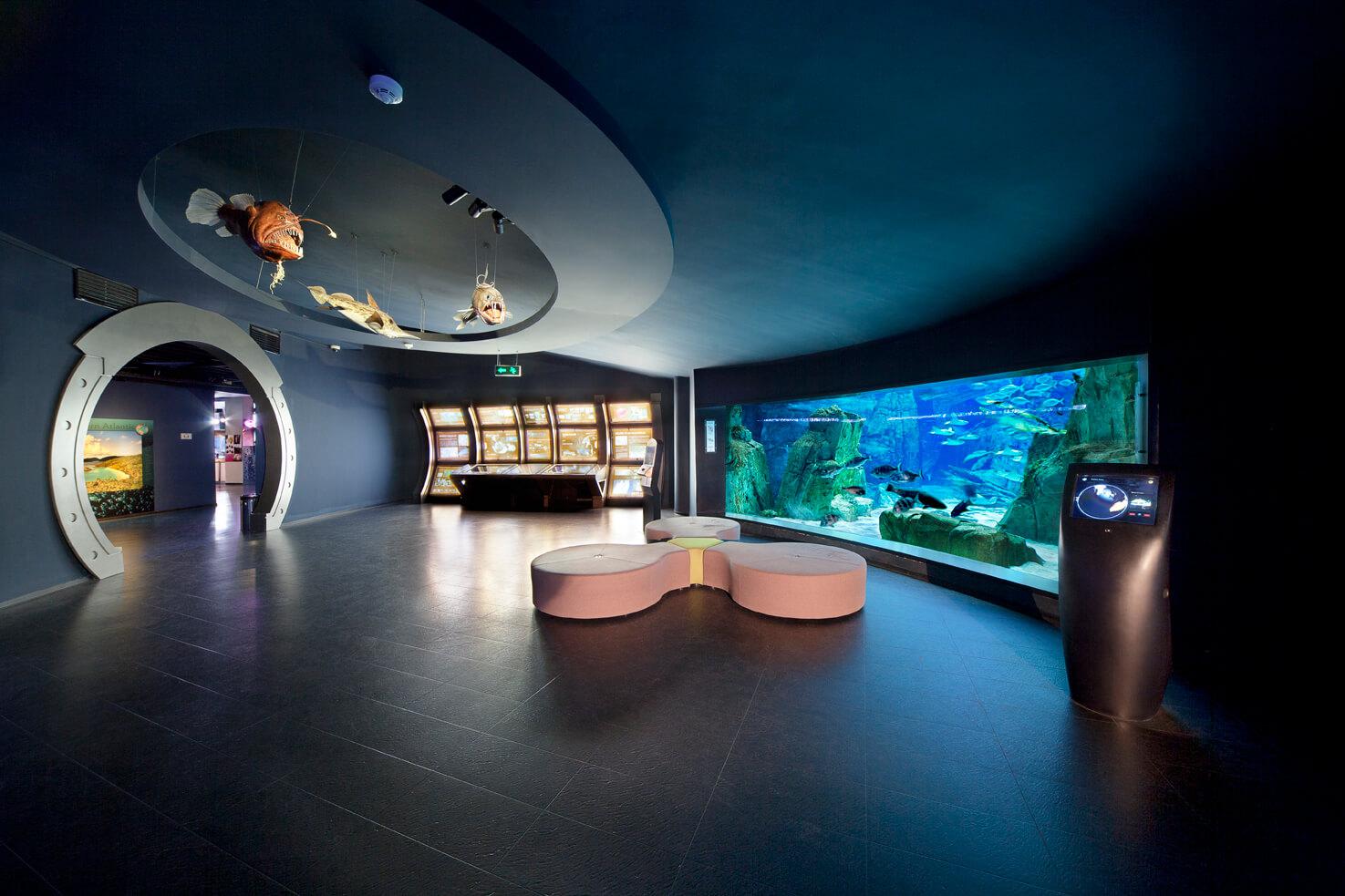  İstanbul Akvaryum Tur