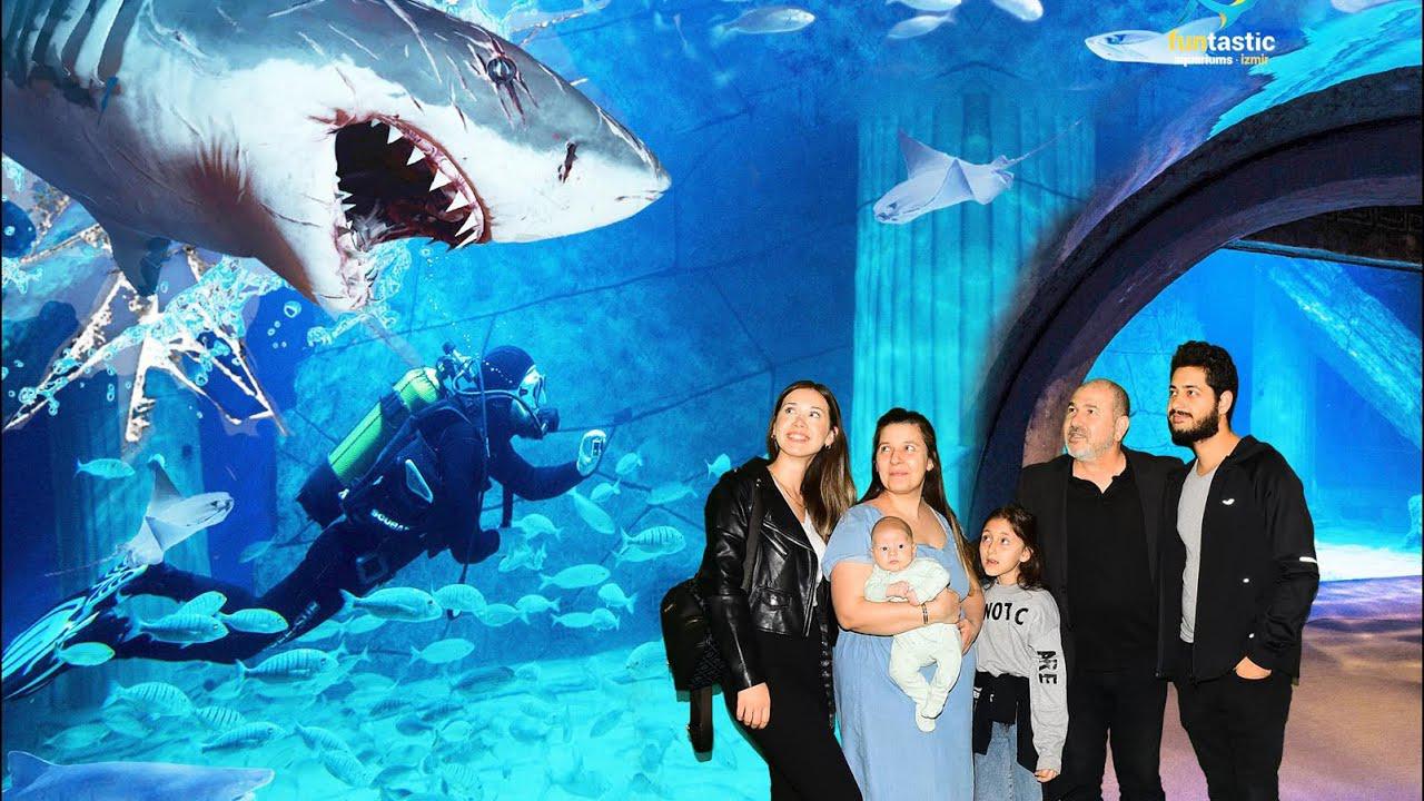 Fantastik Akvaryum Tur