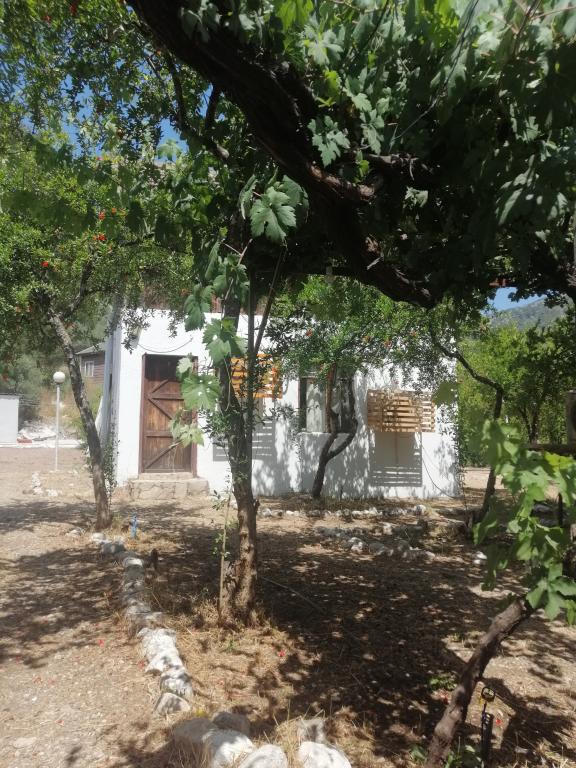 flughafentransfer antalya | flughafen taxi antalya|