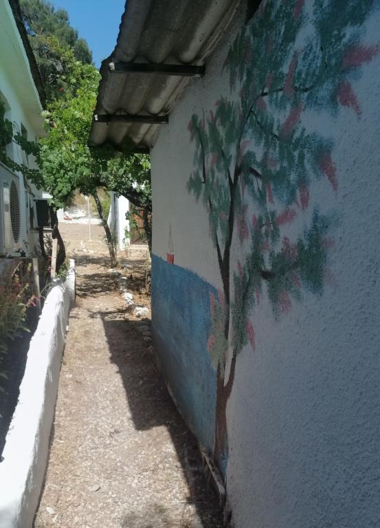 flughafentransfer antalya | flughafen taxi antalya|