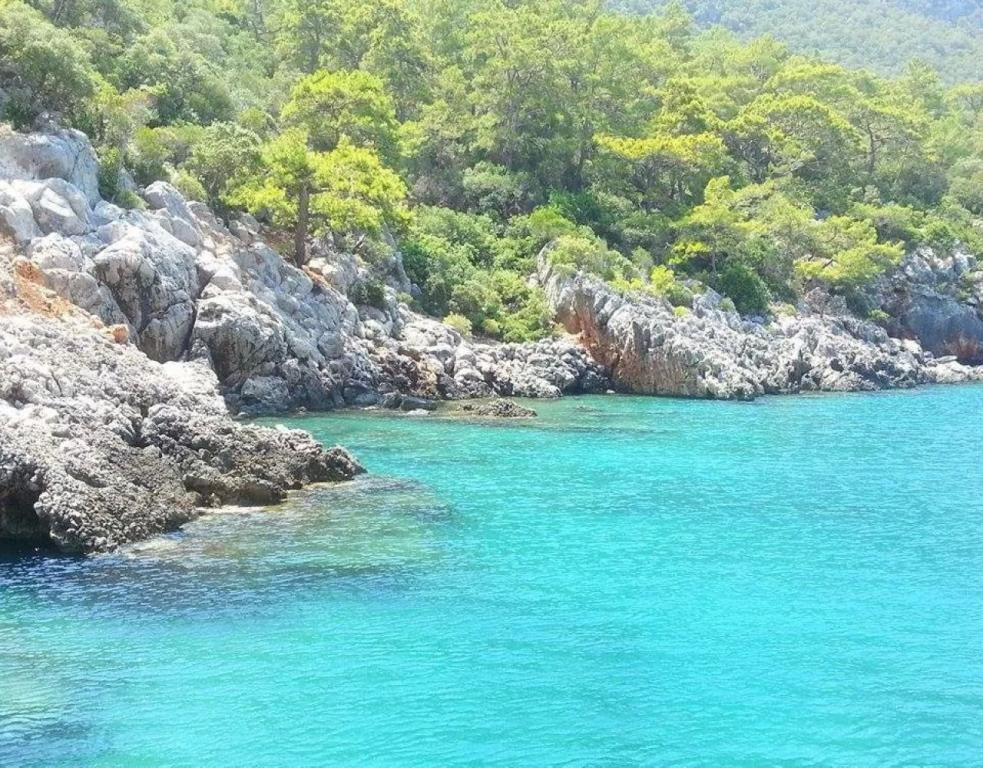 antalya transfer hizmetleri | antalya otel transfer|