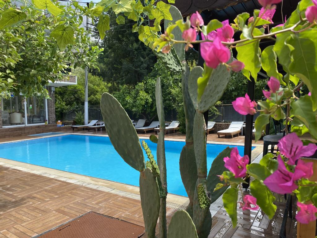 antalya transfer hizmetleri | antalya otel transfer|