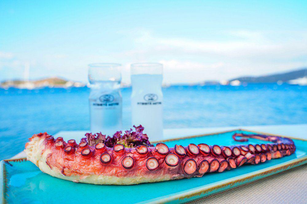 Pitahaya Mutfak Bodrum