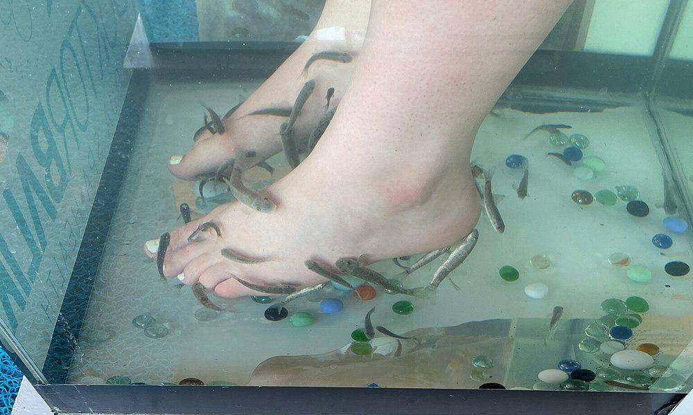 Dalyan Çamur Banyoları Tur