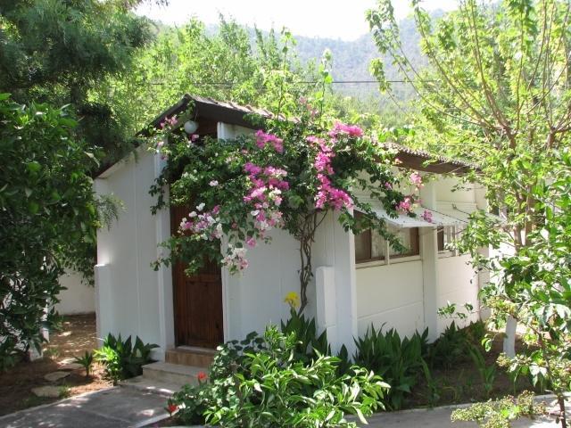 flughafentransfer antalya | flughafen taxi antalya|