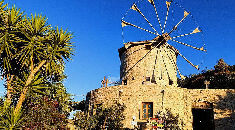 Datça Vineyard & Winery Tur