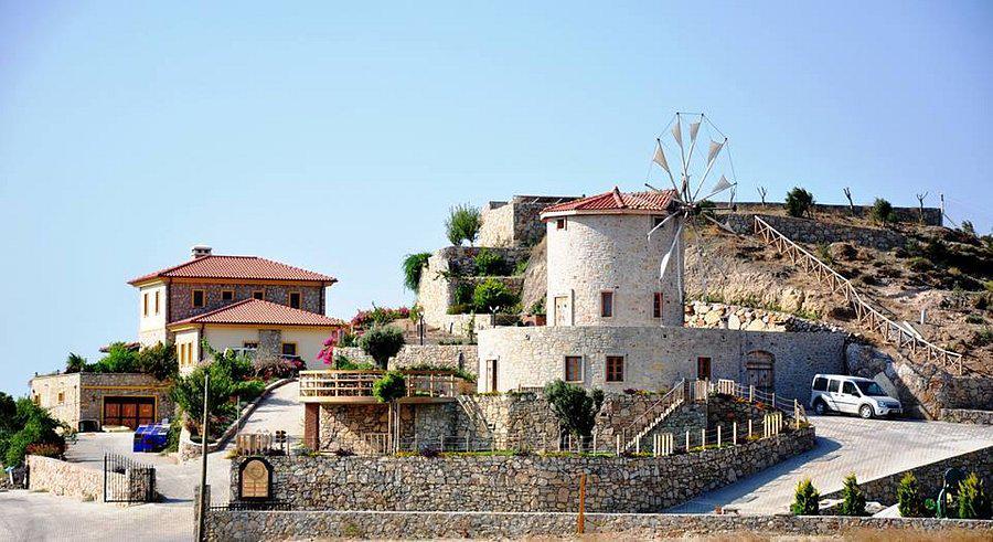 Datça Vineyard & Winery Tur