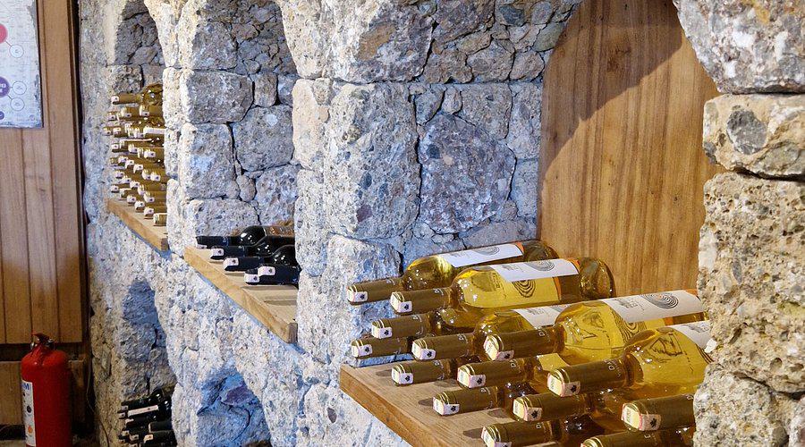 Datça Vineyard & Winery Tur