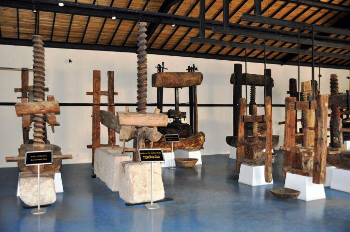 Oleatrium zeytin ve Zeytinyağı Tarihi Müzesi Tur