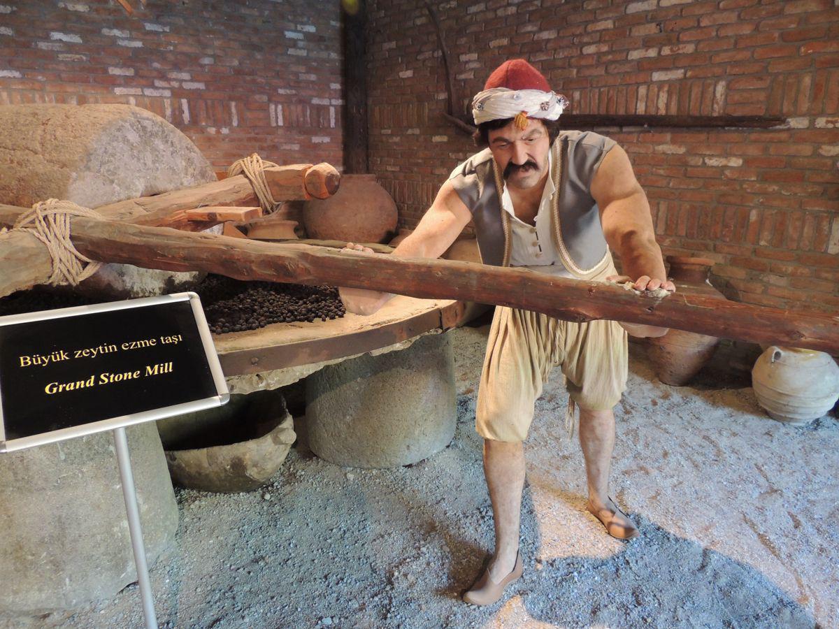 Oleatrium zeytin ve Zeytinyağı Tarihi Müzesi Tur