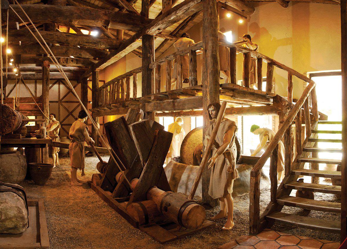 Oleatrium zeytin ve Zeytinyağı Tarihi Müzesi Tur