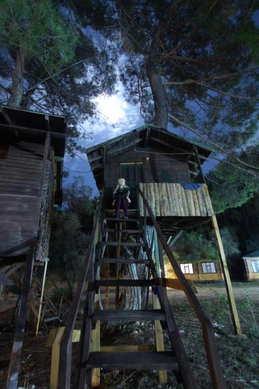 antalya transfer hizmetleri | antalya otel transfer|