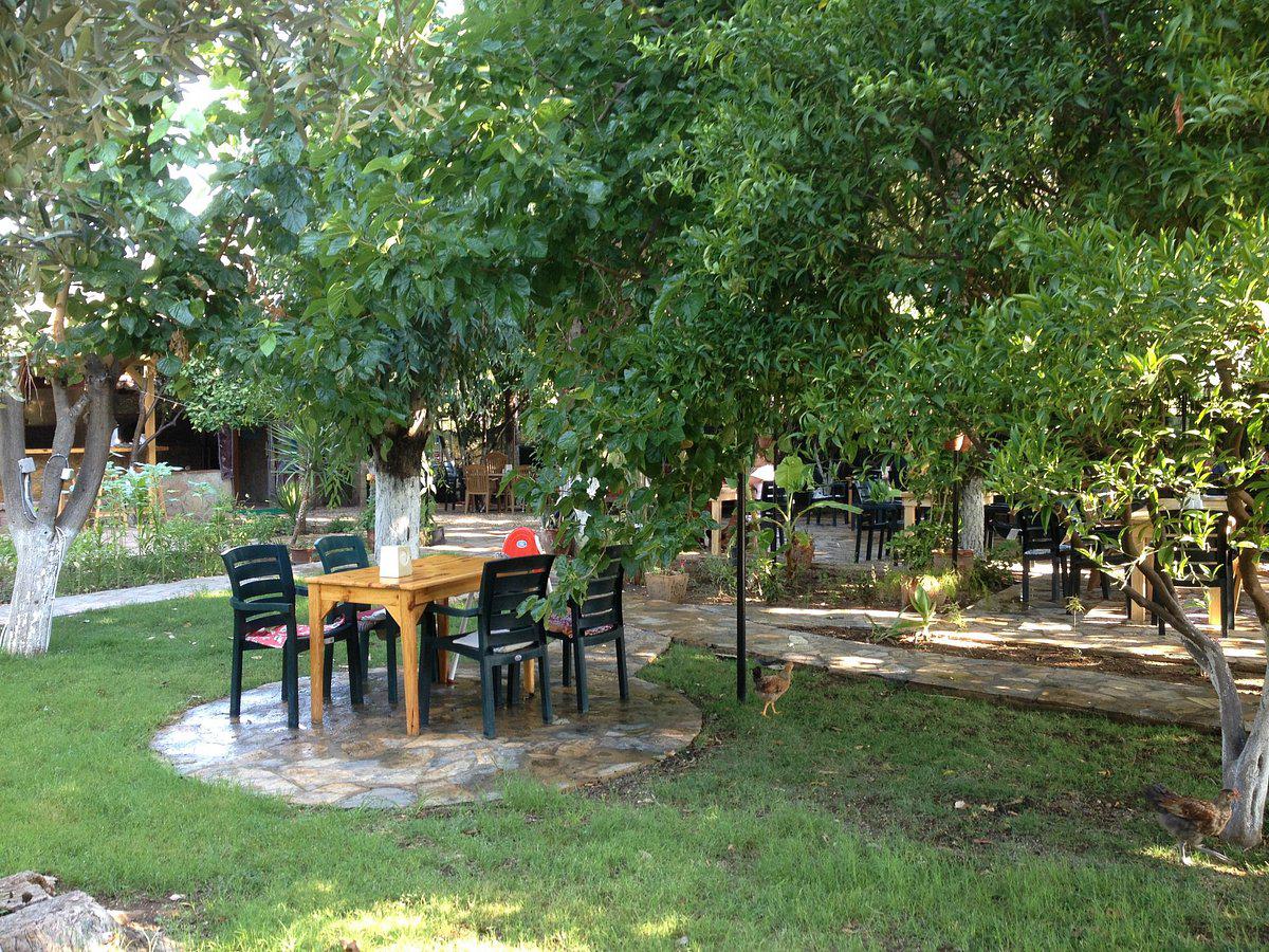 трансфер из аэропорта анталия | трансфер отель Анталии|