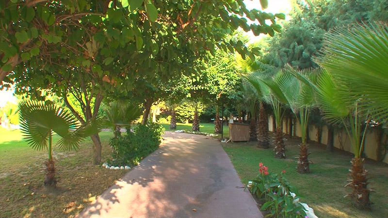 antalya transfer hizmetleri | antalya otel transfer|