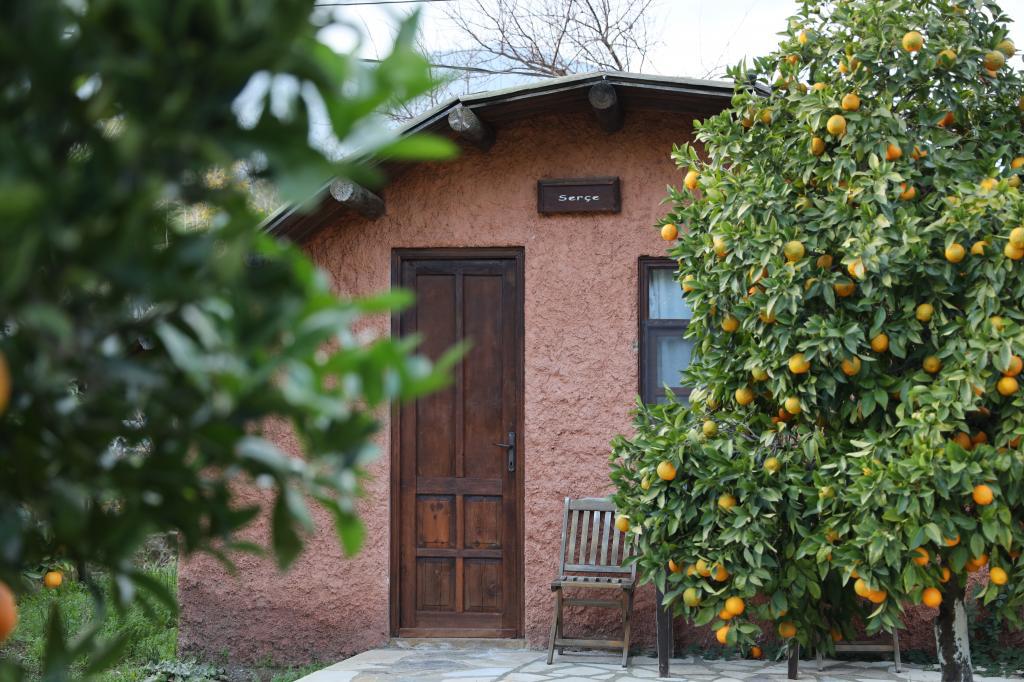 antalya transfer hizmetleri | antalya otel transfer|