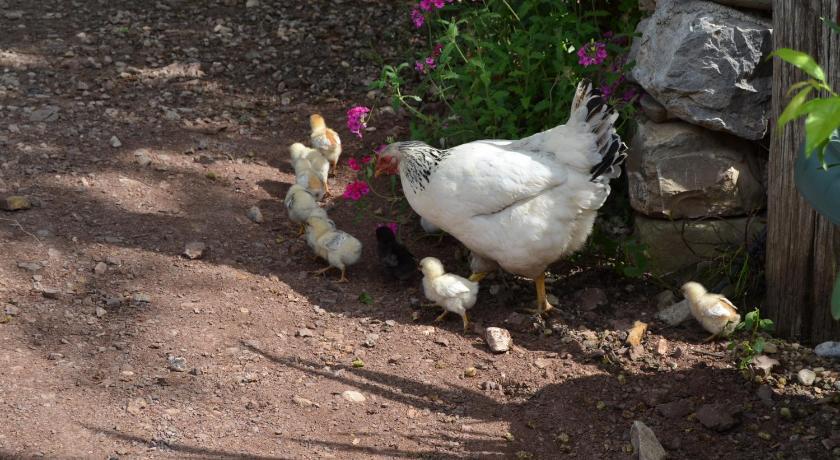 flughafentransfer antalya | flughafen taxi antalya|