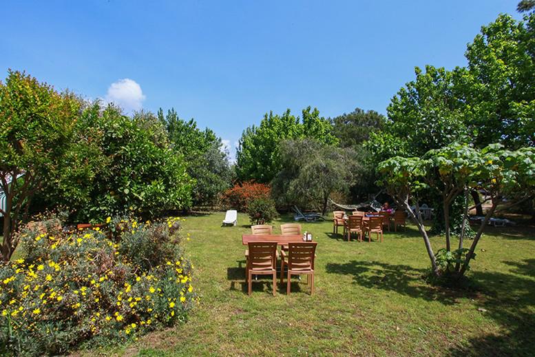 antalya transfer hizmetleri | antalya otel transfer|