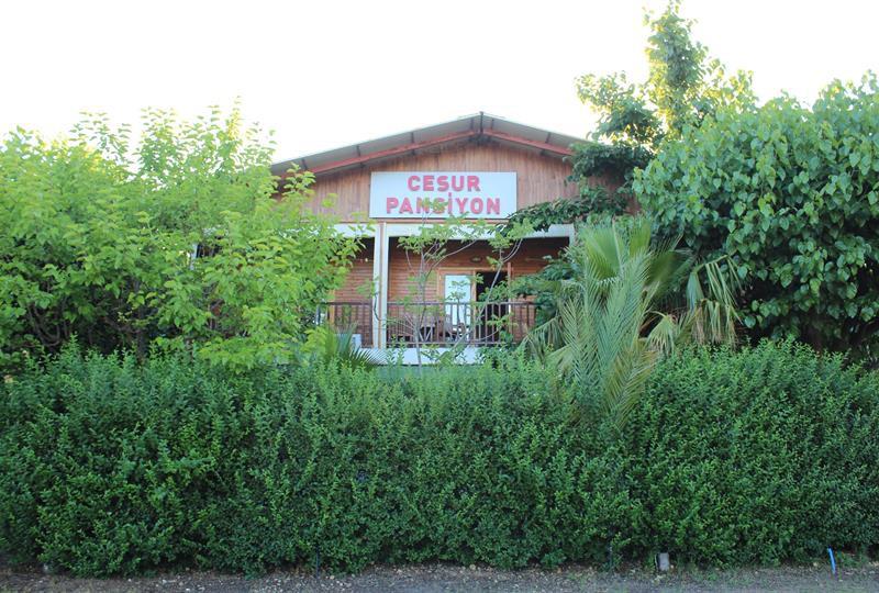 antalya transfer hizmetleri | antalya otel transfer|