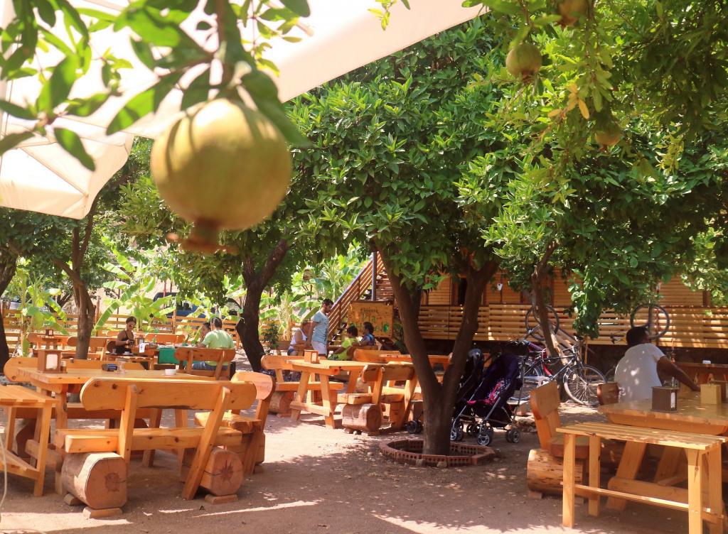 antalya transfer hizmetleri | antalya otel transfer|