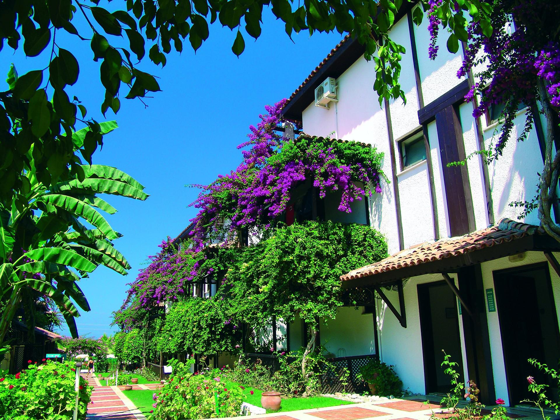 antalya transfer hizmetleri | antalya otel transfer|