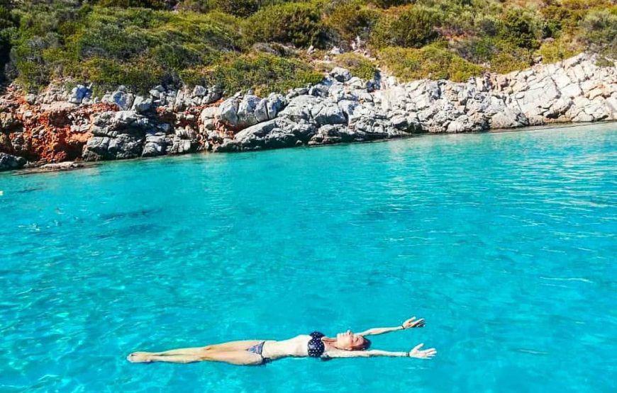 Bodrum Akvaryum Koyu Tur