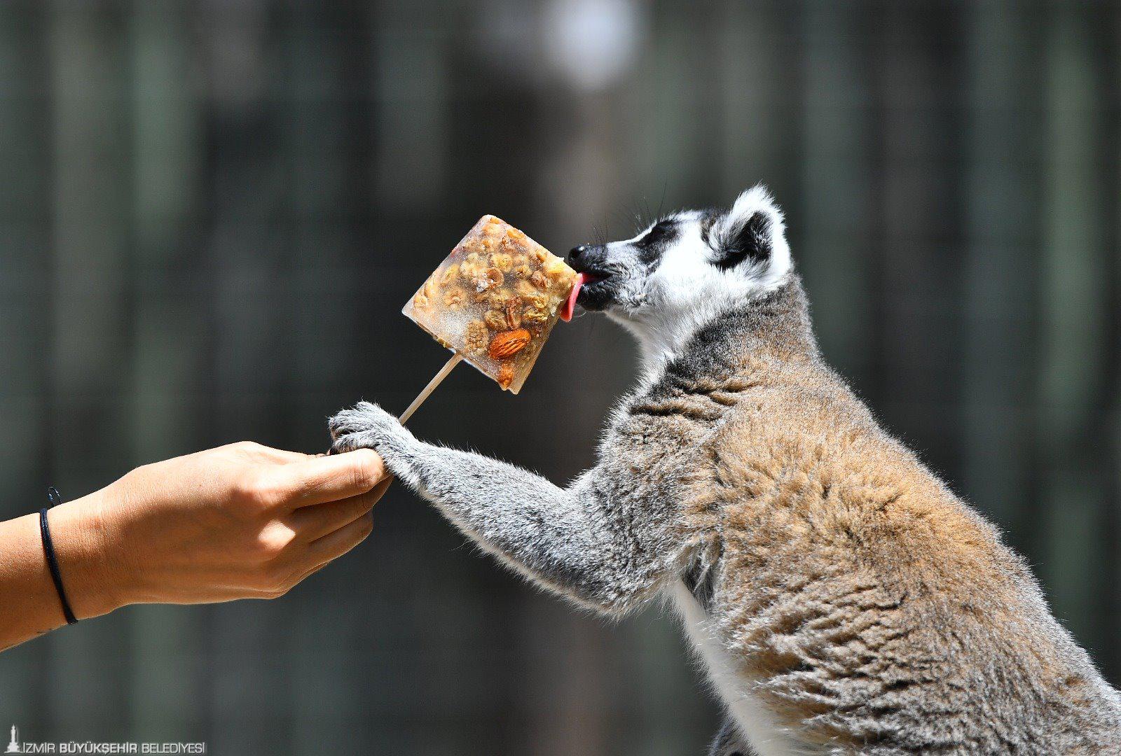 Izmir Doğal Yaşam Parkı Tur