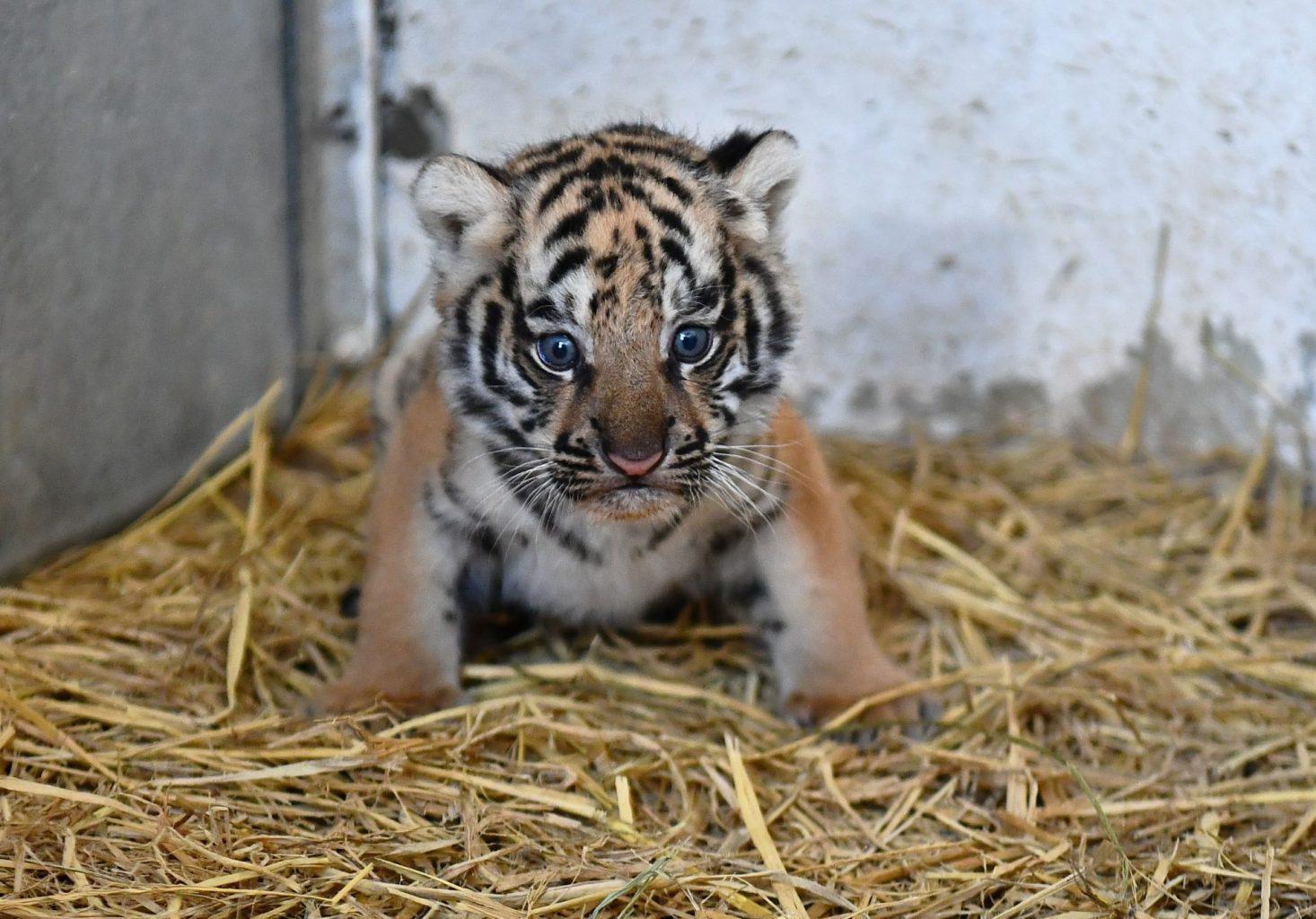 Izmir Doğal Yaşam Parkı Tur
