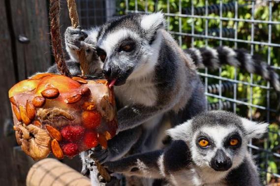 Izmir Doğal Yaşam Parkı Tur