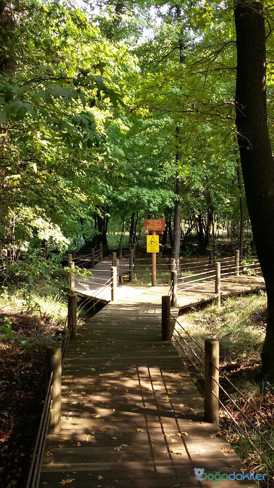 Marmaris Milli Parkı Tur