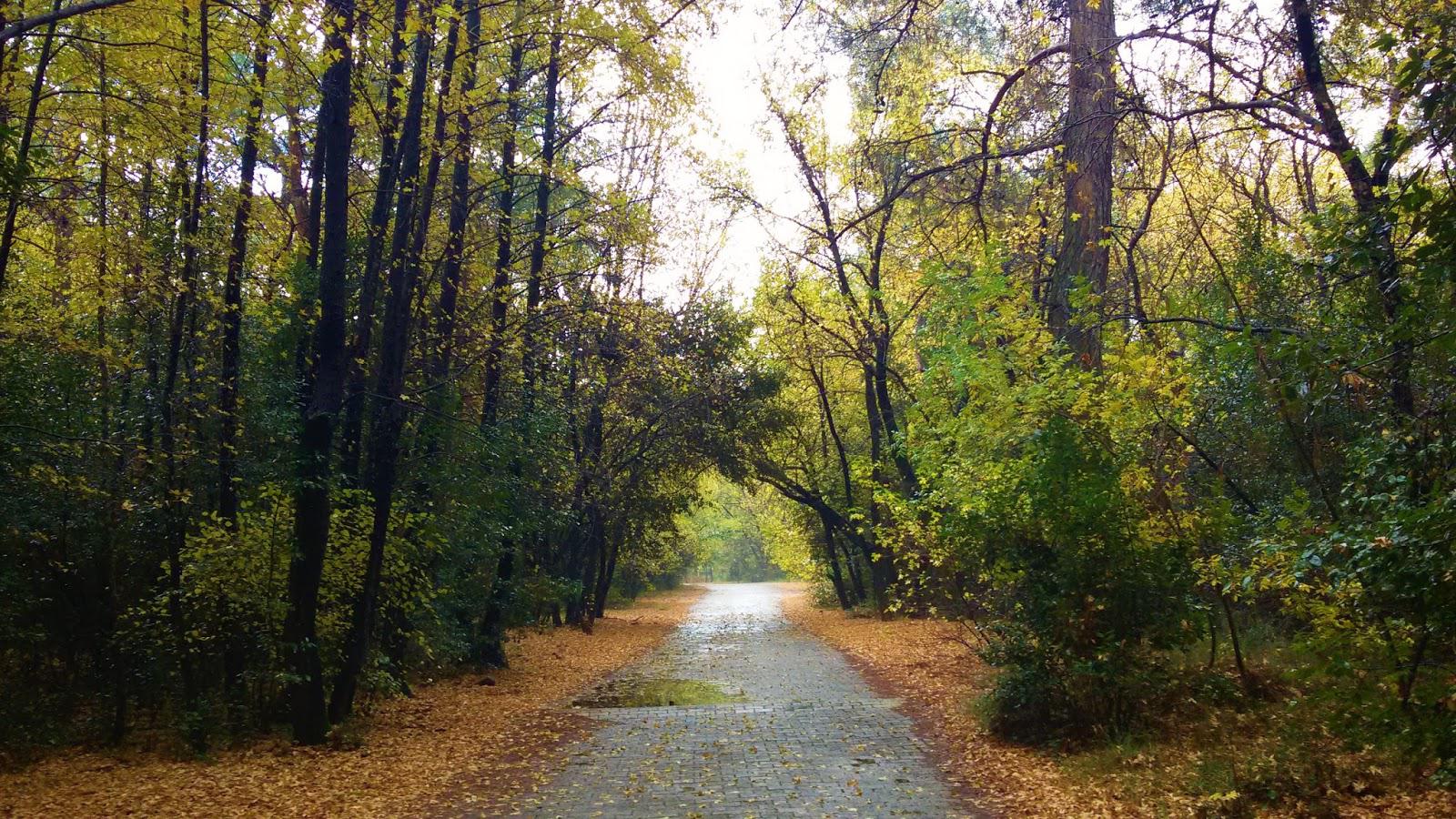 Marmaris Milli Parkı Tur