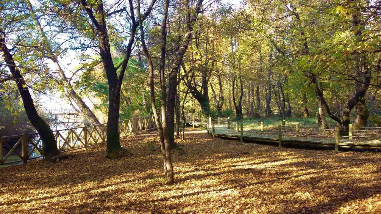 Marmaris Milli Parkı Tur