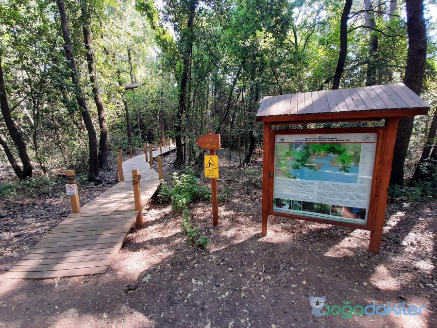 Marmaris Milli Parkı Tur